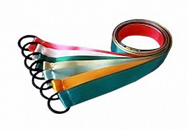 Лента гимнастическая на кольце (0,25 метра) - fgospostavki.ru - Апатиты