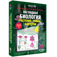 Наглядная биология. 6 класс. Растения. Грибы. Бактерии - fgospostavki.ru - Апатиты