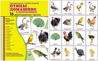 Демонстрационные карточки "Птицы домашние и декоративные" - fgospostavki.ru - Апатиты