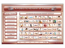 Трехсекционный базовый комплект "Травмы. Кровотечения. Ожоги" для учащихся общеобразовательных учреждений - fgospostavki.ru - Апатиты