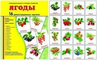 Демонстрационные карточки "Ягоды" - fgospostavki.ru - Апатиты