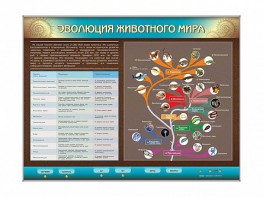 Интерактивный электрифицированный стенд "Эволюция животного мира" - fgospostavki.ru - Апатиты