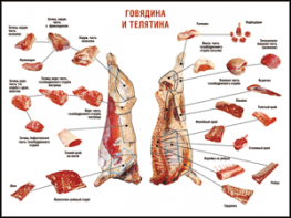 Таблица "Правила разделки мясных туш. Говядина и телятина" (100х140 сантиметров, винил) - fgospostavki.ru - Апатиты