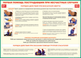 Таблица "Порядок действий при внезапной смерти" (100х140 сантиметров, винил) - fgospostavki.ru - Апатиты