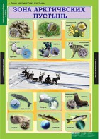 Комплект таблиц. Окружающий мир 4 класс. - fgospostavki.ru - Апатиты