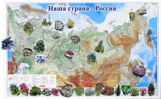 Магнитные карточки "Растения" - fgospostavki.ru - Апатиты