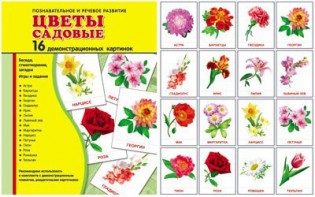 Демонстрационные карточки "Цветы садовые" - fgospostavki.ru - Апатиты