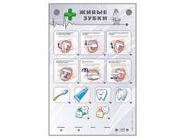 Интерактивный стенд "Живые зубки" - fgospostavki.ru - Апатиты