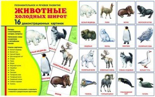Демонстрационные карточки "Животные холодных широт" - fgospostavki.ru - Апатиты