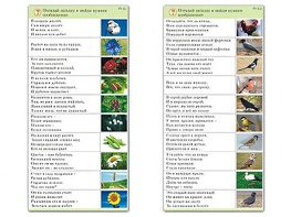 Комплект карточек (10) "Обучающий калейдоскоп. Природа" - fgospostavki.ru - Апатиты