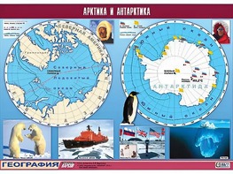 Таблица демонстрационная "Арктика и Антарктика" (винил 100*140) - fgospostavki.ru - Апатиты