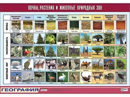 Таблица демонстрационная "Почвы, растения и животные природных зон" (винил 70*100) - fgospostavki.ru - Апатиты
