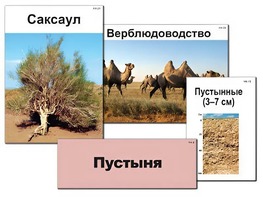 Модель-аппликация "Природные зоны России" (ламинированная) - fgospostavki.ru - Апатиты