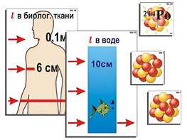 Модель-аппликация "Явление радиоактивности" (ламинированная) - fgospostavki.ru - Апатиты