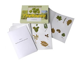 Гербарий "Морфология растений" (6 тем, 30 видов) - fgospostavki.ru - Апатиты