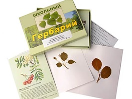 Гербарий "Систематика растений. Семейство Розоцветные" (раздаточный) - fgospostavki.ru - Апатиты