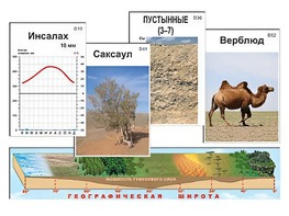 Модель-аппликация "Природные зоны" - fgospostavki.ru - Апатиты