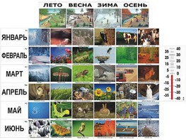Фенологические наблюдения - fgospostavki.ru - Апатиты