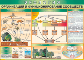 Таблица "Организация и функционирование сообществ" (100х140 сантиметров, винил) - fgospostavki.ru - Апатиты