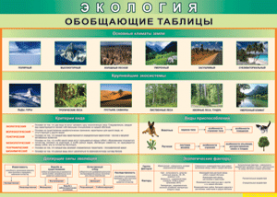 Таблица "Экология. Обобщающие таблицы" (100х140 сантиметров, винил) - fgospostavki.ru - Апатиты