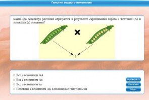 Интерактивные курсы. Биология 11 класс. Базовый. - fgospostavki.ru - Апатиты