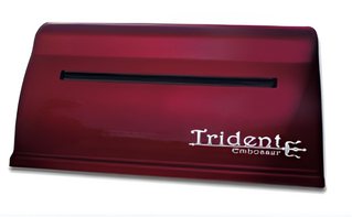 Принтер для печати рельефно-точечным шрифтом Брайля Trident - fgospostavki.ru - Апатиты