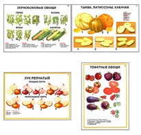 Плакаты ПРОФТЕХ "Ассортимент овощных культур" (12 пл, винил, 70х100) - fgospostavki.ru - Апатиты