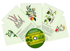 Интерактивный наглядный комплекс "Гербарий "Для начальной школы" - fgospostavki.ru - Апатиты