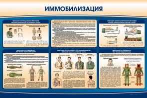 Стенд "Иммобилизация" - fgospostavki.ru - Апатиты