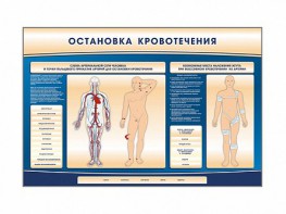 Электрифицированный стенд-тренажер "Остановка кровотечения" - fgospostavki.ru - Апатиты