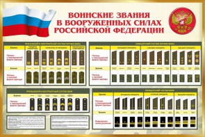 Стенд "Воинские звания в вооруженных силах РФ" - fgospostavki.ru - Апатиты