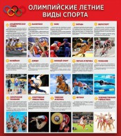 Стенд "Олимпийские летние виды спорта" - fgospostavki.ru - Апатиты