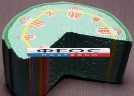 Модель "Стебель растения" - fgospostavki.ru - Апатиты
