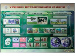 Электрифицированный стенд "Уровни организации жизни" - fgospostavki.ru - Апатиты