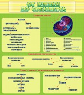 Стенд "От клетки до организма" - fgospostavki.ru - Апатиты