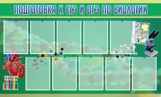 Стенд "Подготовка к ЕГЭ и ОГЭ по биологии" Вариант 2 - fgospostavki.ru - Апатиты