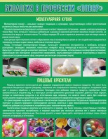 Стенд "Биология в профессии "повар"" - fgospostavki.ru - Апатиты