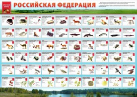Стенд "Красная книга РФ" - fgospostavki.ru - Апатиты