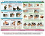 Комплект плакатов "Оказание первой доврачебной медицинской помощи" - fgospostavki.ru - Апатиты