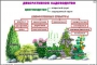 Комплект кодотранспарантов "Культурные растения" - fgospostavki.ru - Апатиты