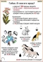 Комплект кодотранспарантов "Ядовитые растения" - fgospostavki.ru - Апатиты